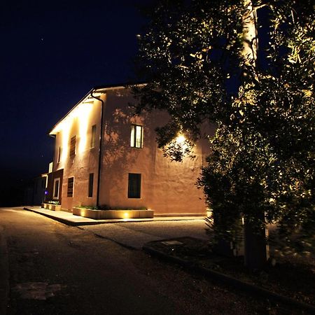 Villa La Collina Del Girasole à Montecastrilli Extérieur photo