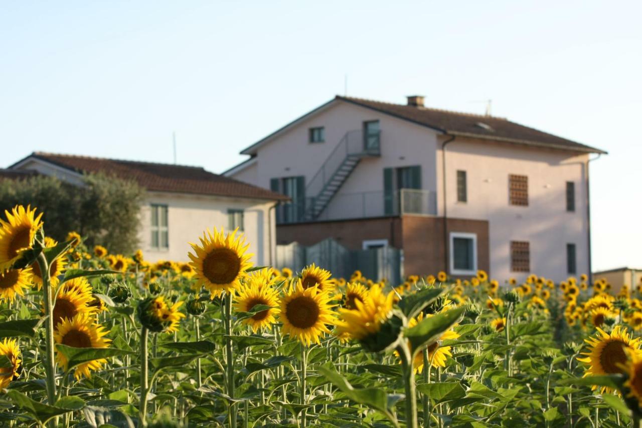 Villa La Collina Del Girasole à Montecastrilli Extérieur photo